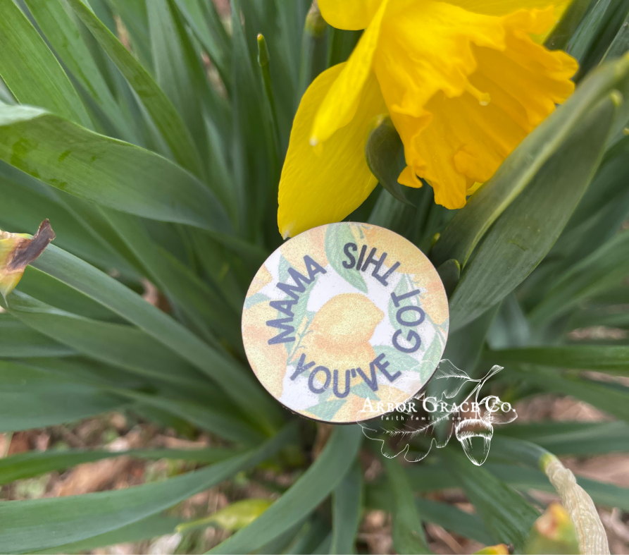 Mom-mento Encouragement Bundle